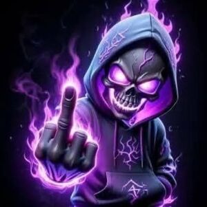 Meet your Posher, Tae